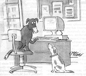 Caricature du New Yorker